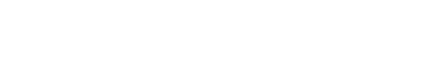 MEXILEASE — Movilidad a tu medida, soluciones a tu alcance.